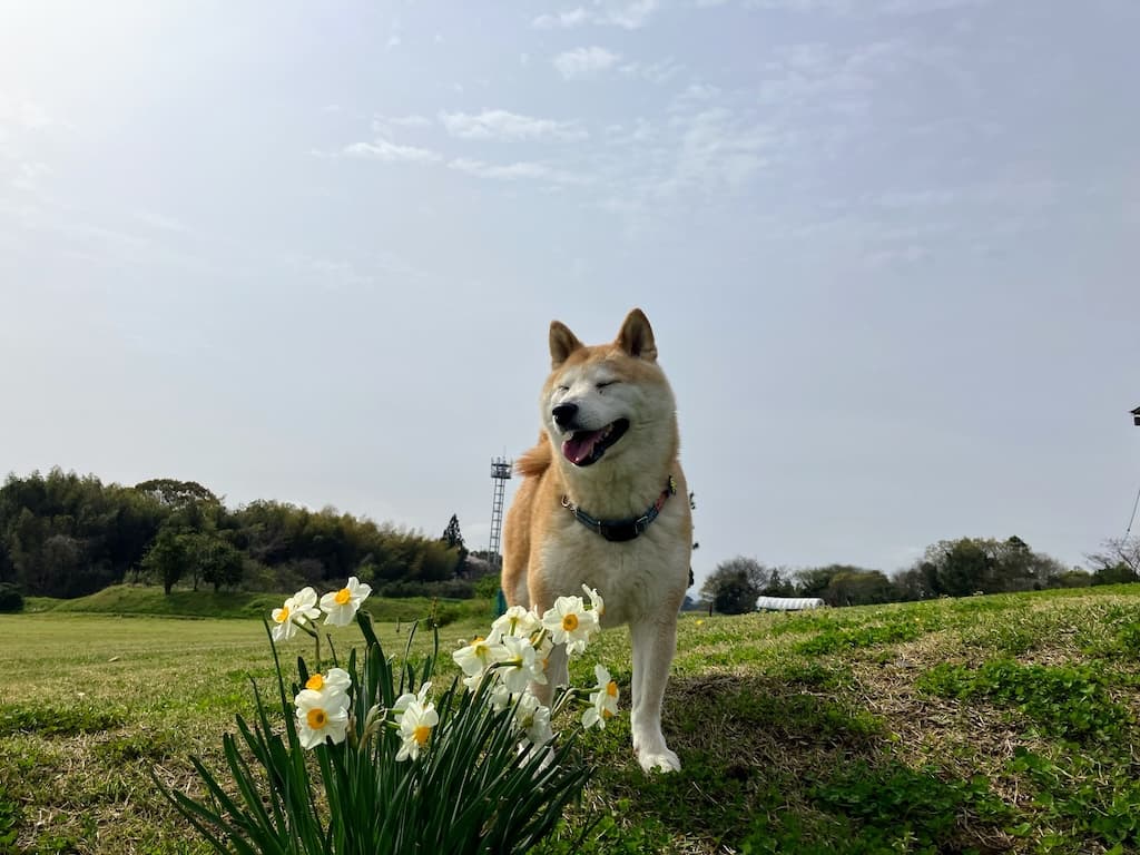 飛来テツ