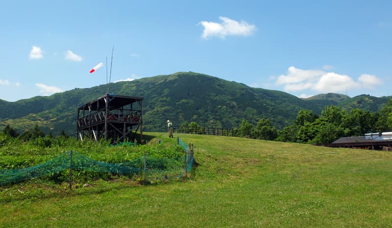DSCF5985.jpg
