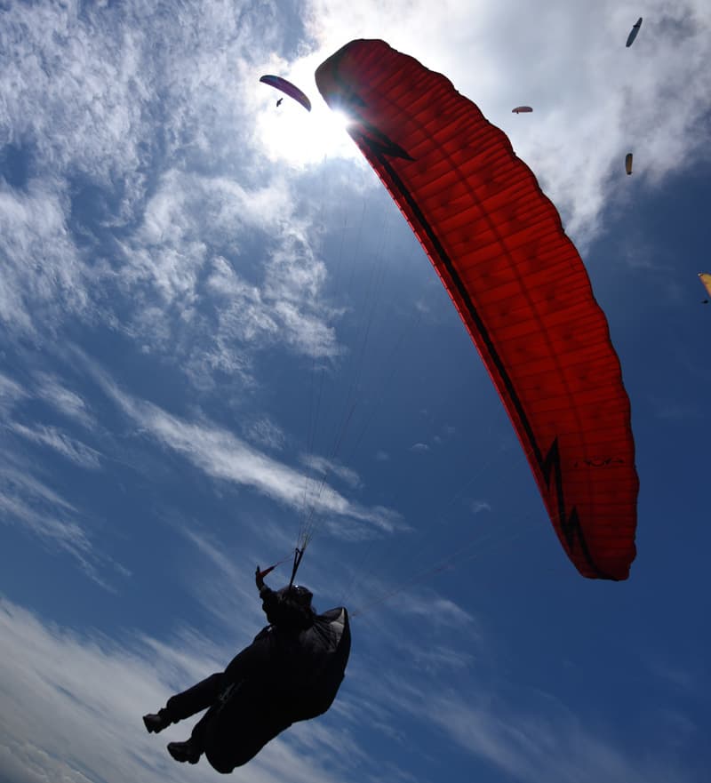 DSC_9980.jpg