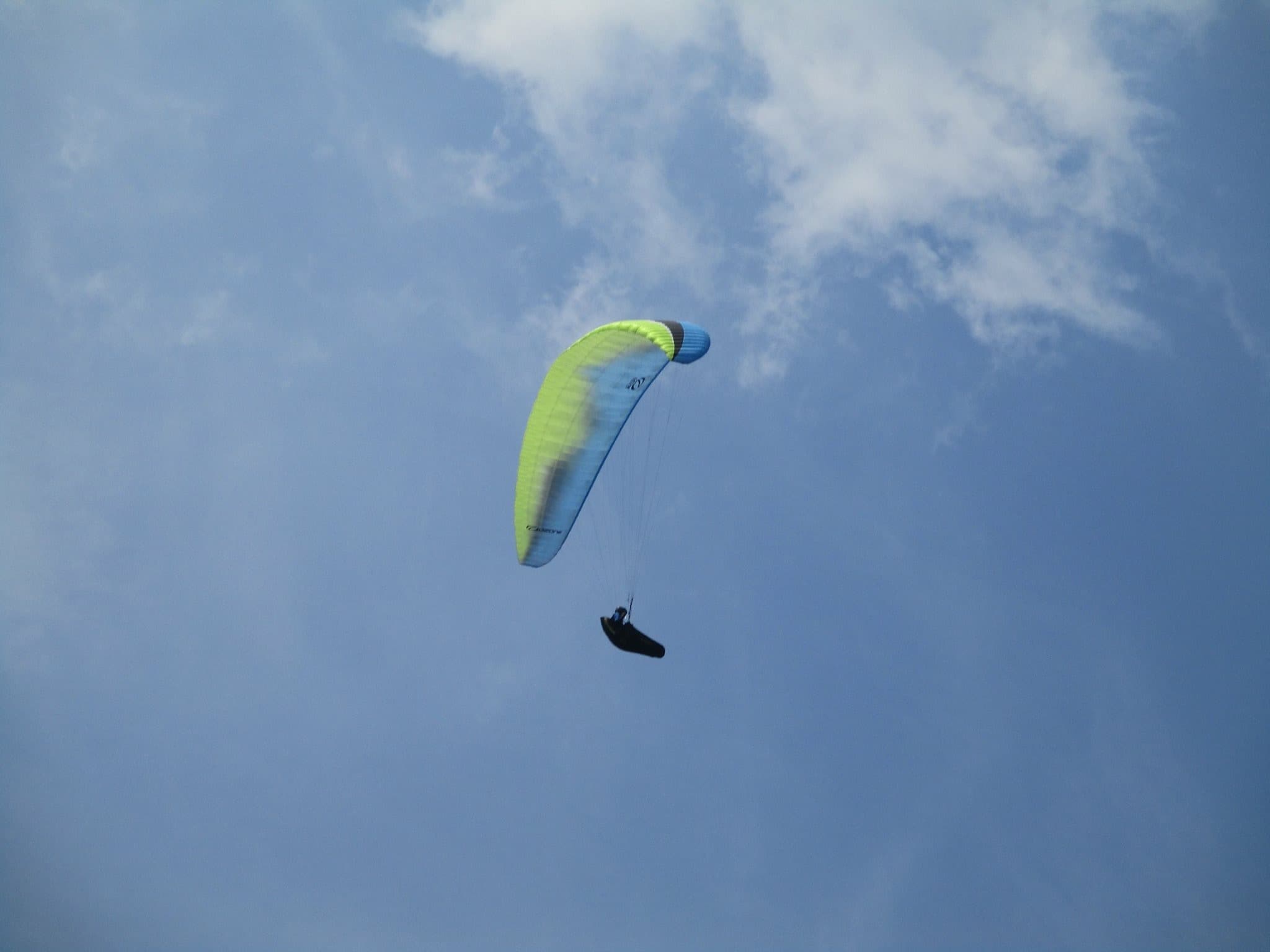 IMG_2221.jpg