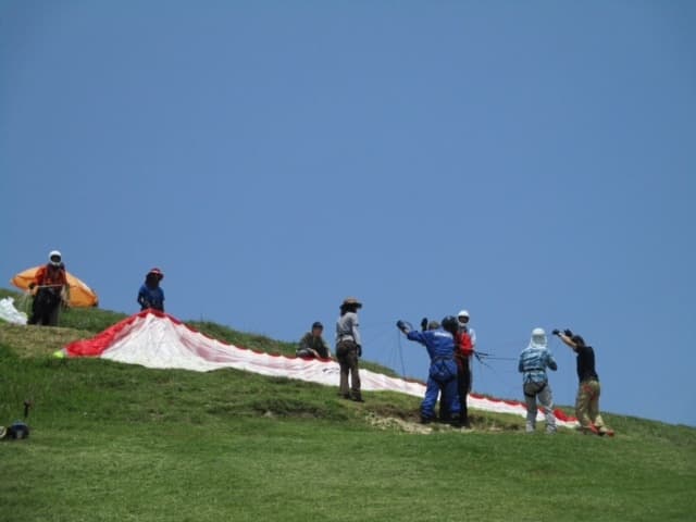 IMG_2234.jpg