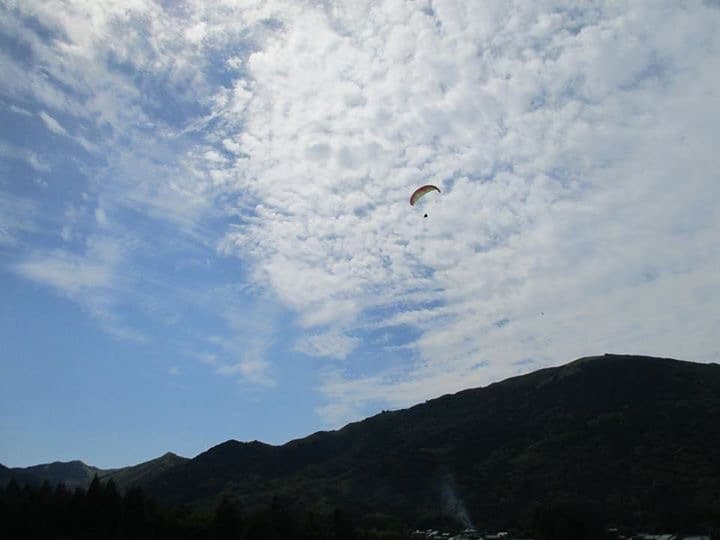 IMG_2252.jpg