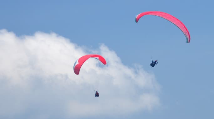 DSC_0081.jpg