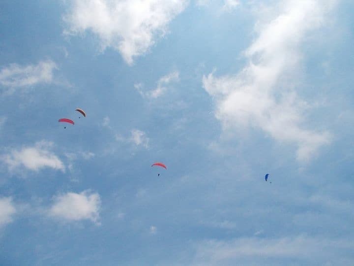 IMG_2453.jpg