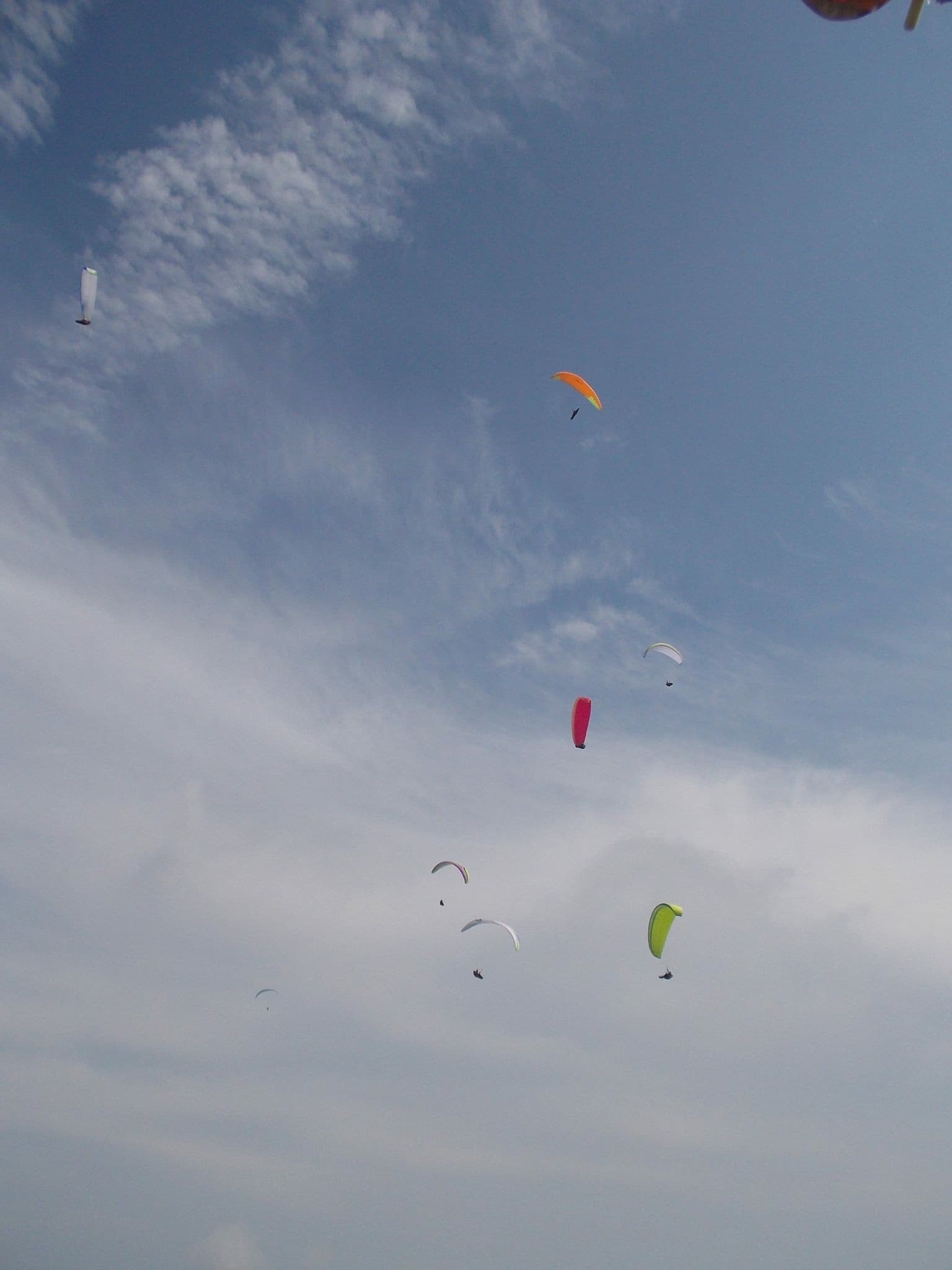 IMG_2948.jpg