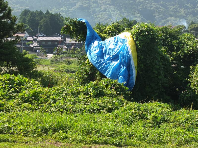 DSCF7091.jpg