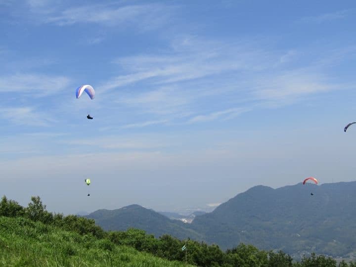 IMG_4583.jpg