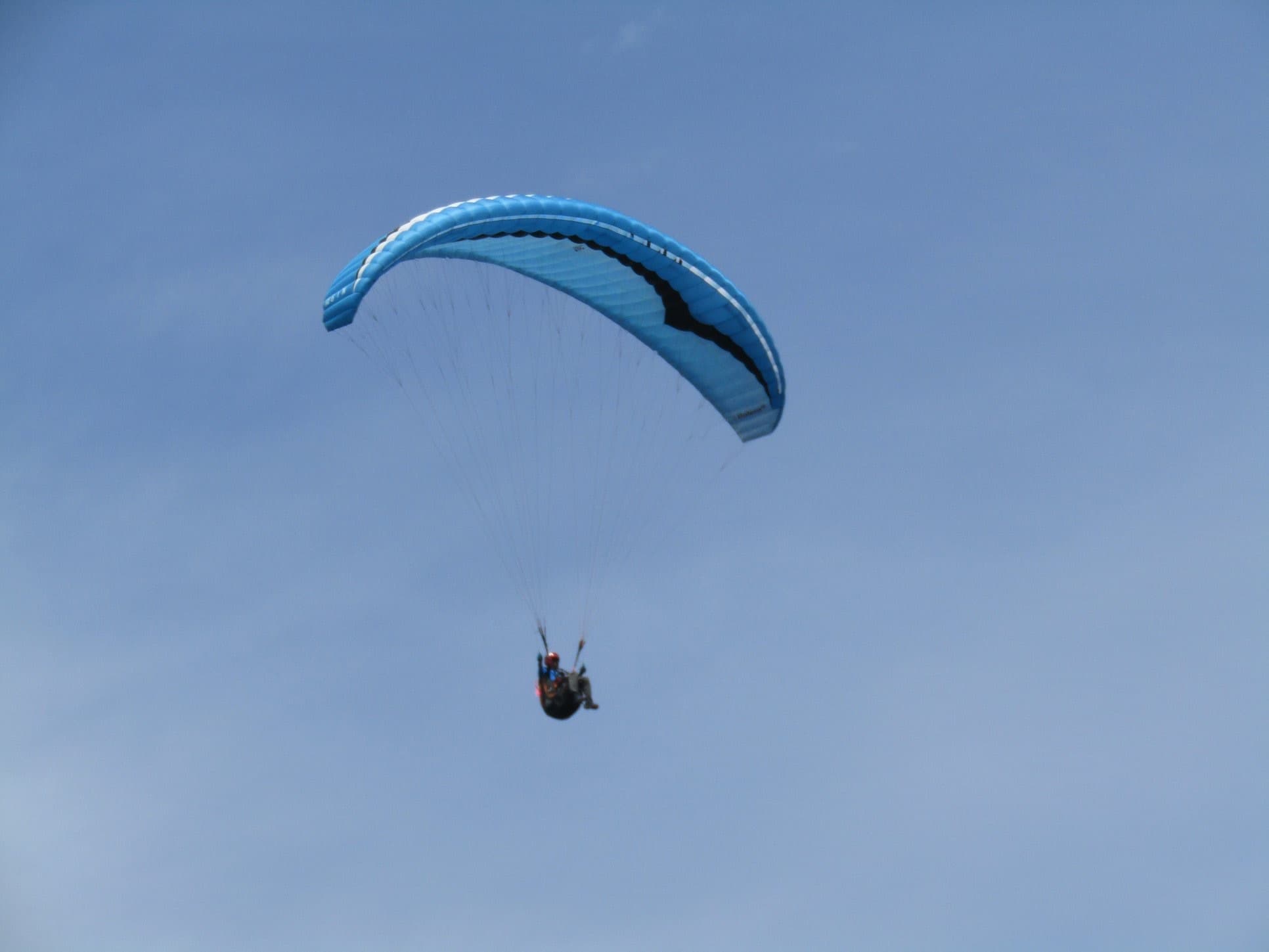 IMG_4585.jpg