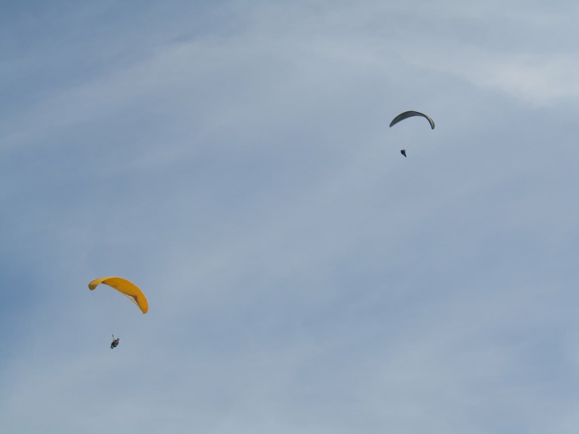 IMG_4849.jpg