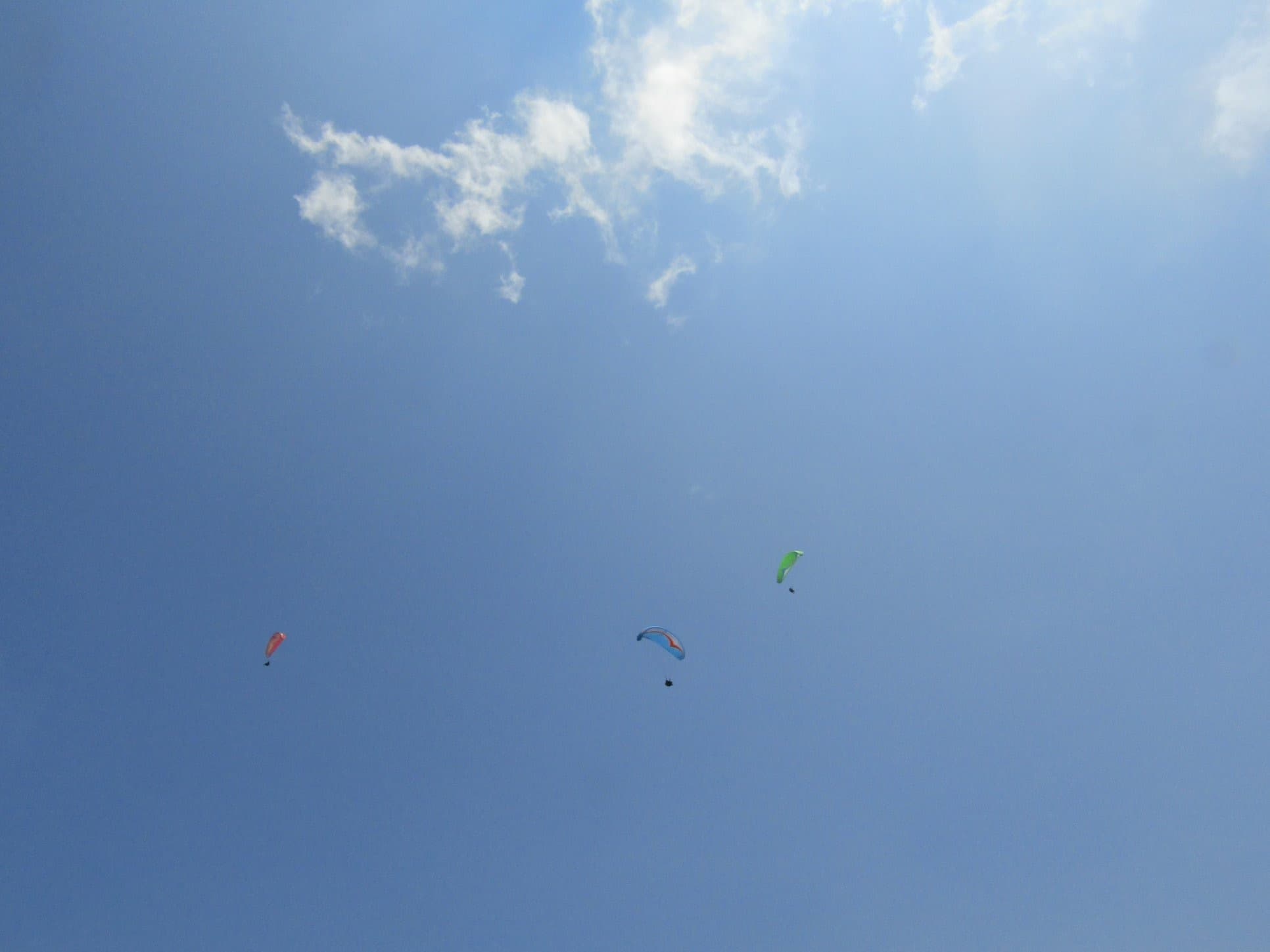 IMG_4861.jpg