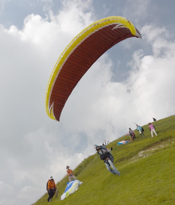 DSC_7142.jpg