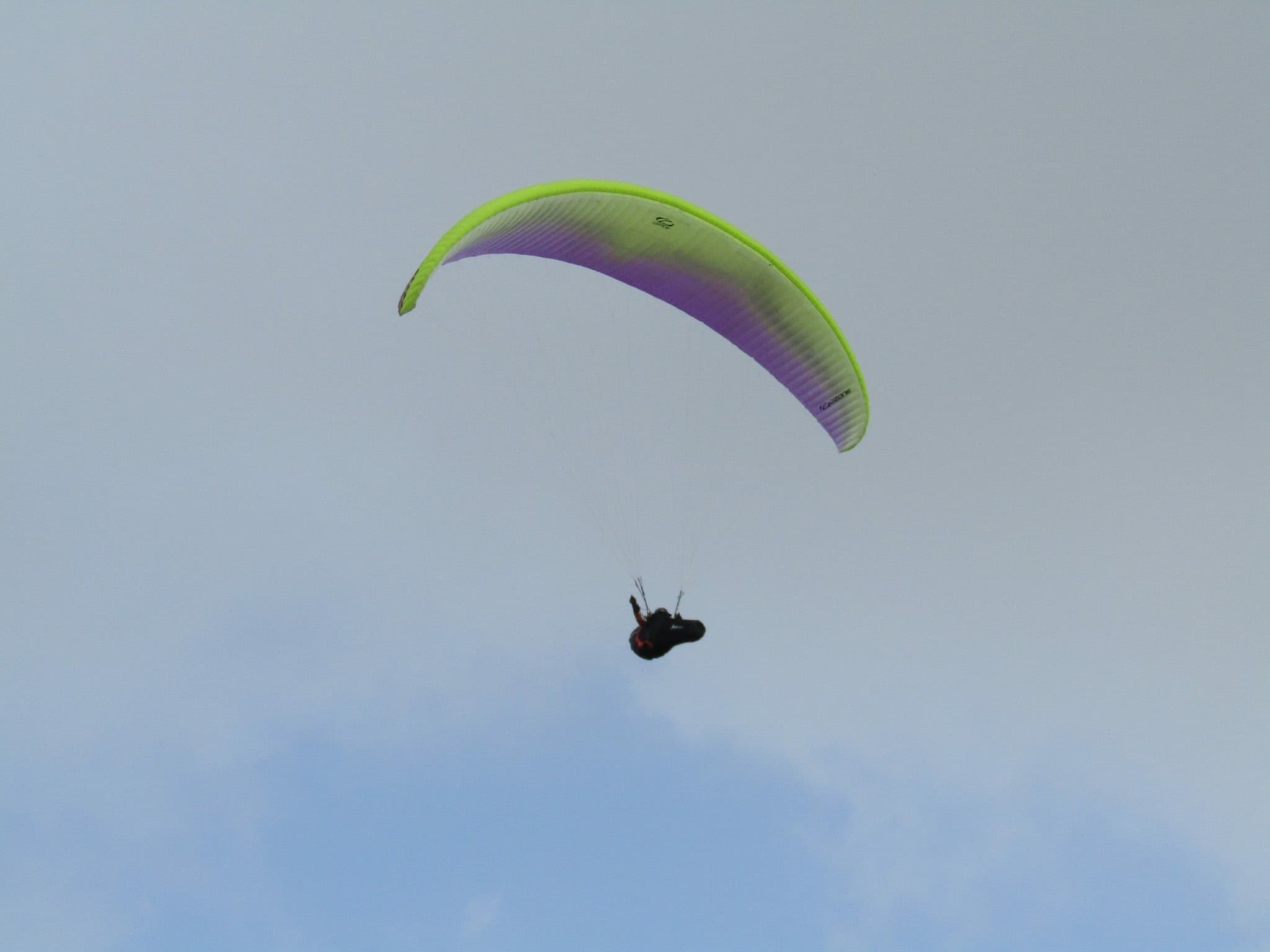 IMG_3248.jpg