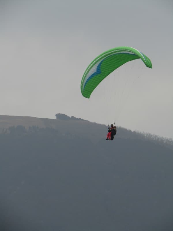 IMG_1560.jpg