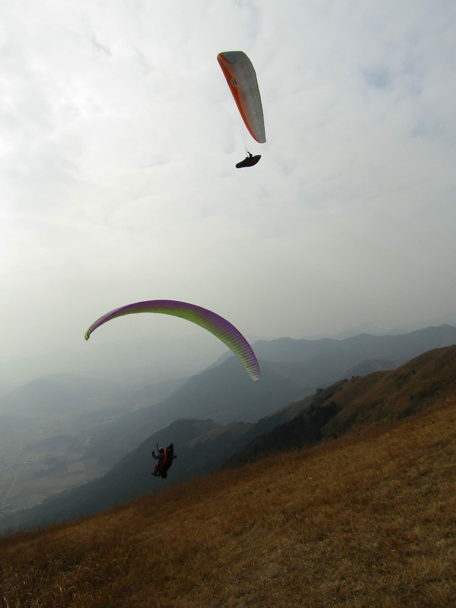IMG_3437.jpg