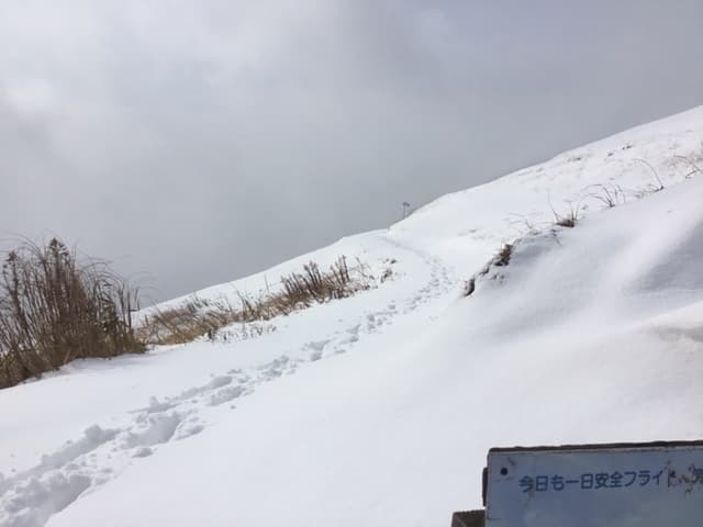 IMG_3557.jpg