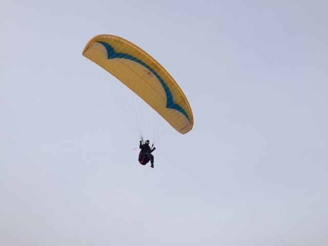 IMG_3582.jpg