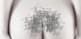 100px-Image-Ass_2.jpg