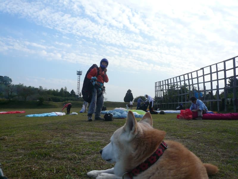 P1070439.jpg