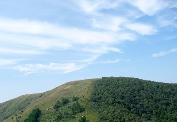 s-P1020587.jpg