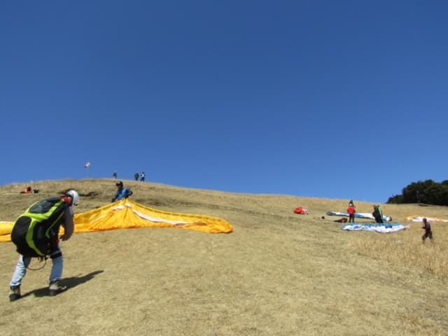 IMG_3919.jpg