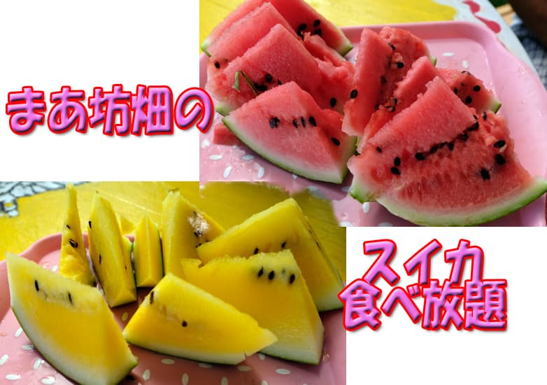DSCF0507.jpg