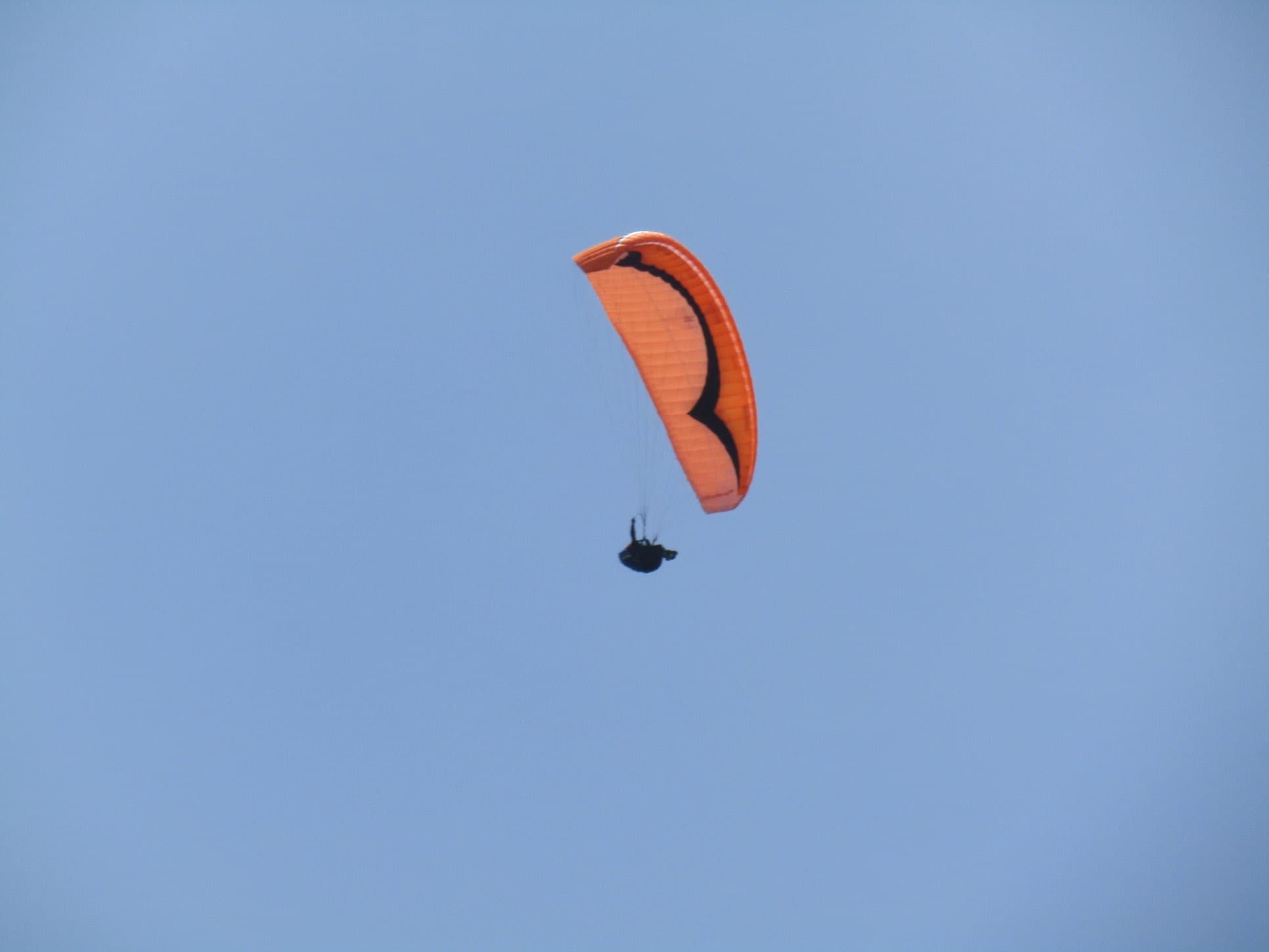 IMG_4914.jpg
