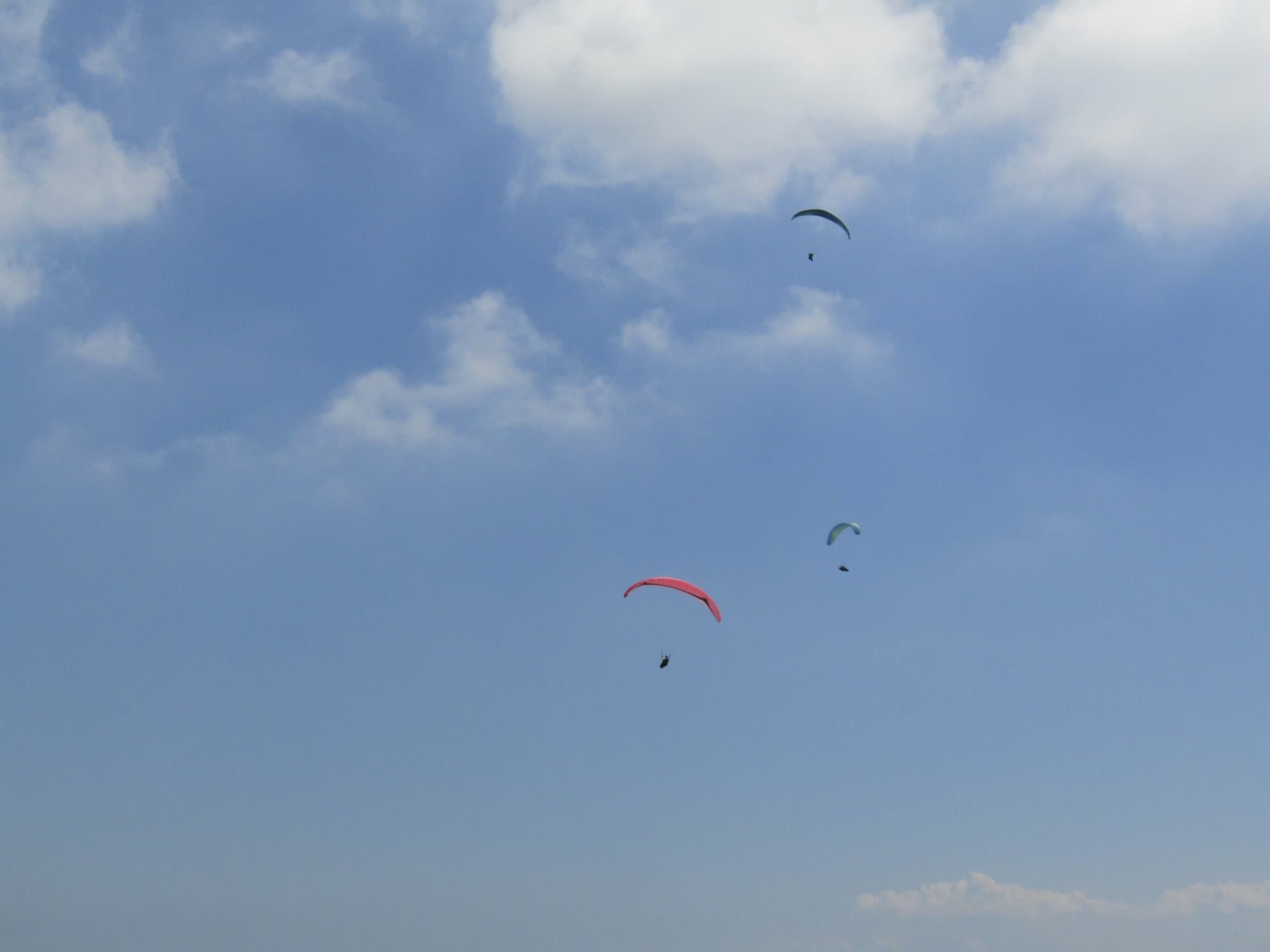 IMG_4915.jpg