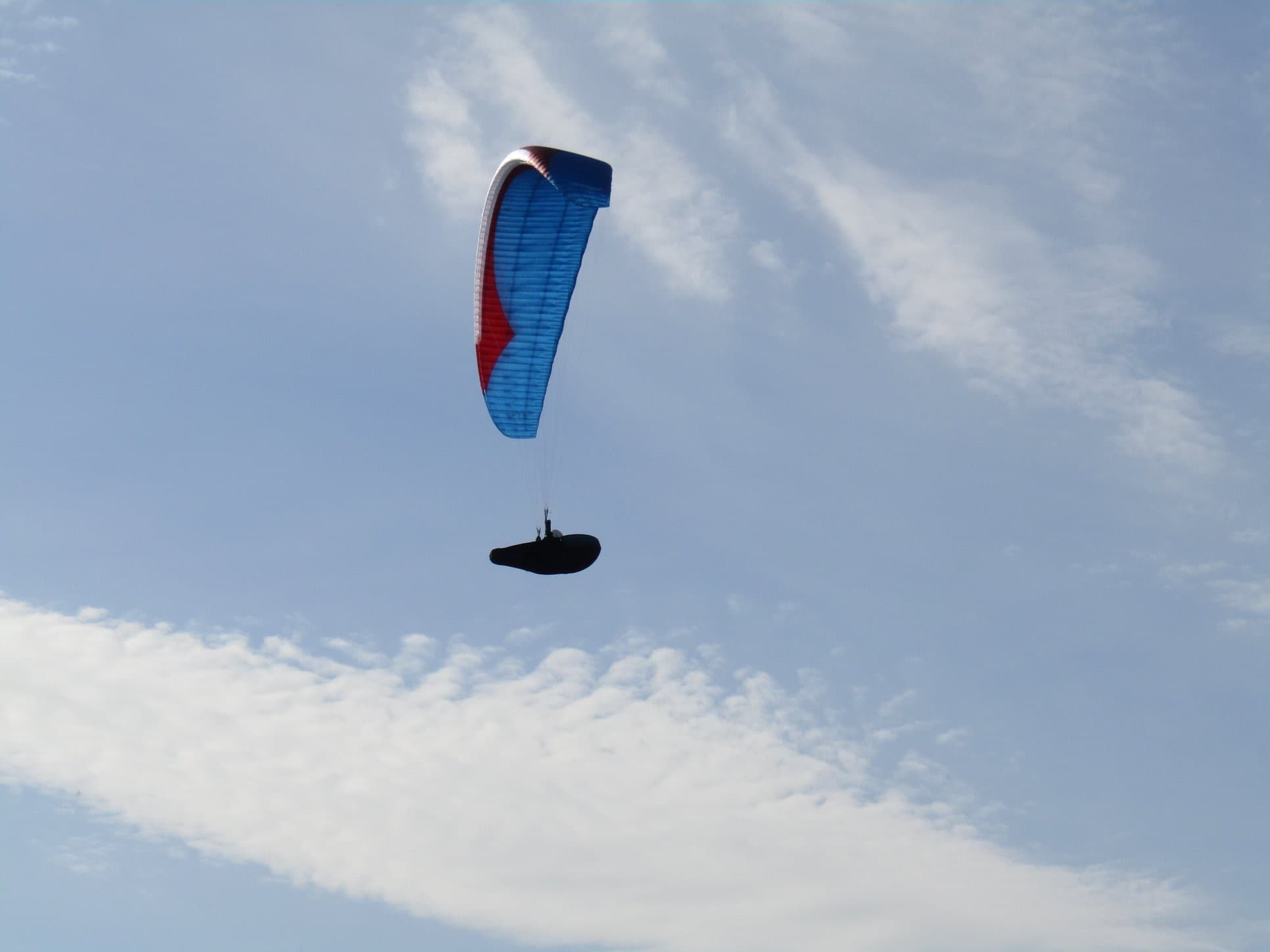 IMG_5325.jpg