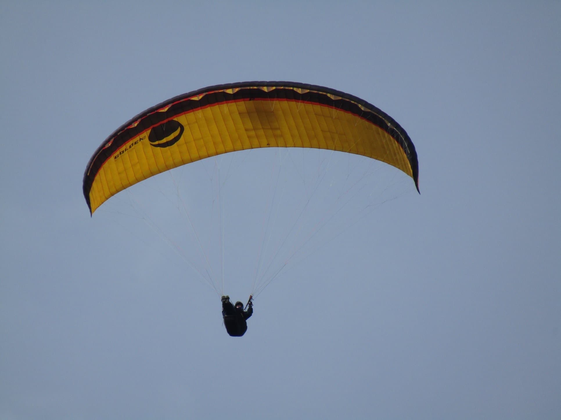 IMG_5326.jpg
