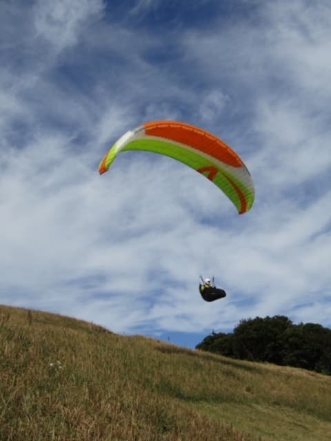 IMG_5391.jpg