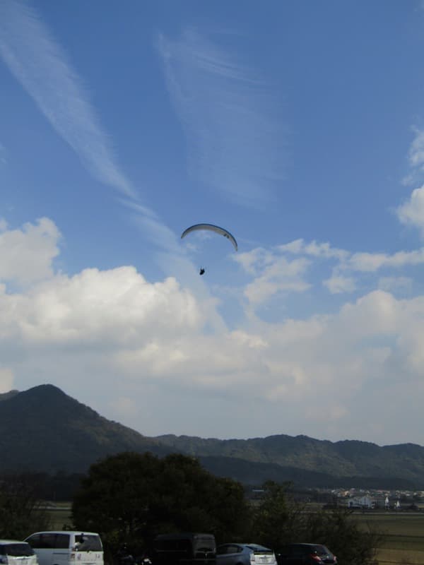 IMG_7273.jpg