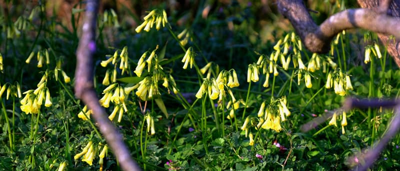 DSCF3149.jpg