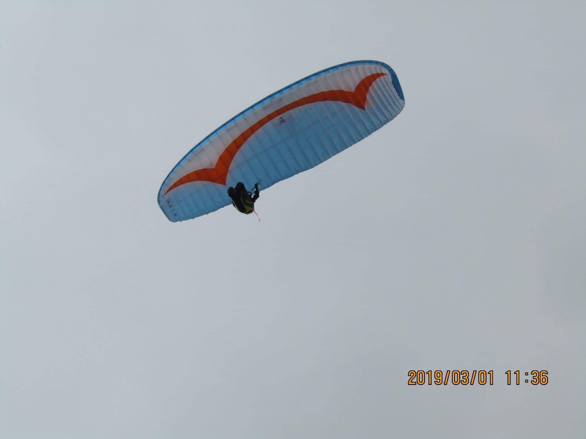 IMG_0415.jpg