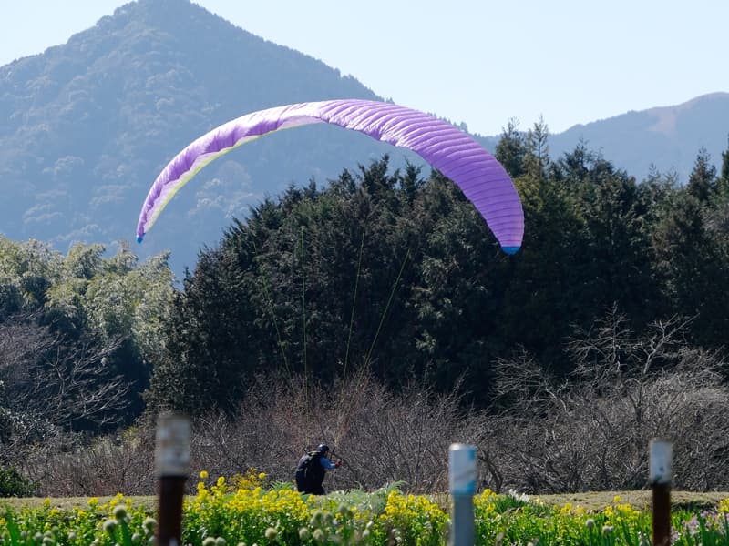 DSCF3454.jpg