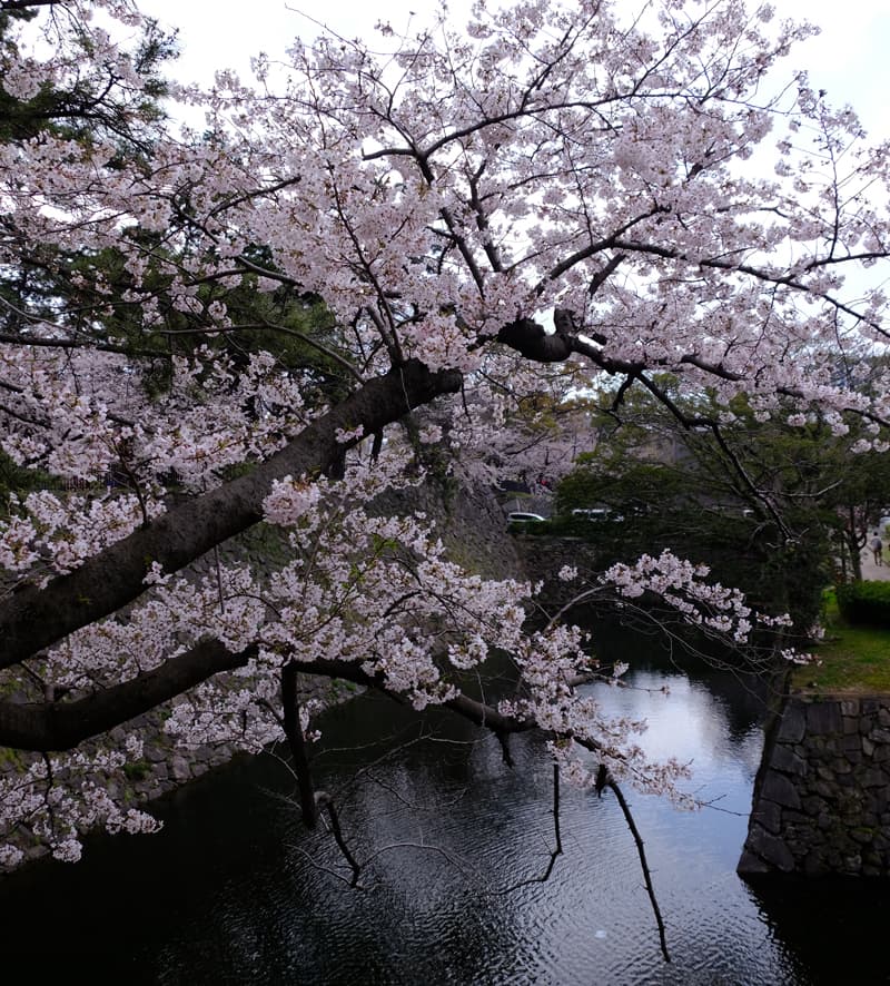 DSCF3474.jpg