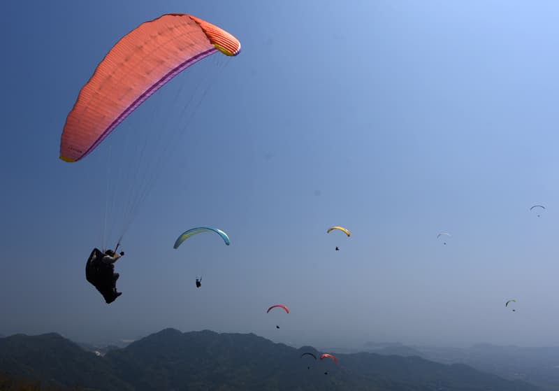 DSC_9532.jpg