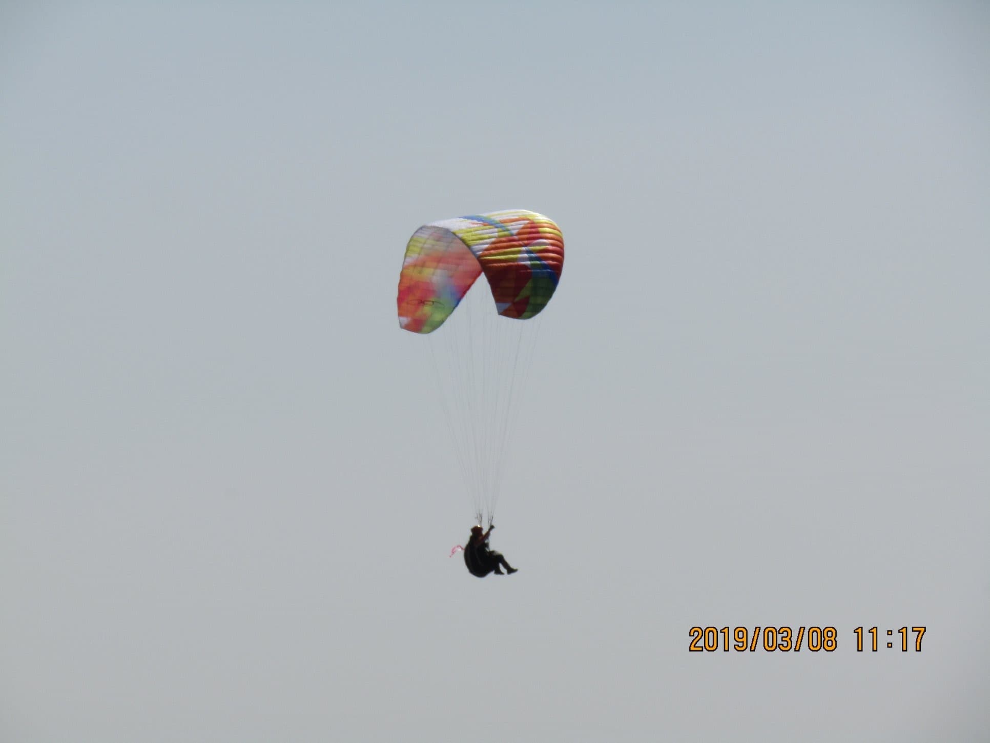 IMG_0447.jpg