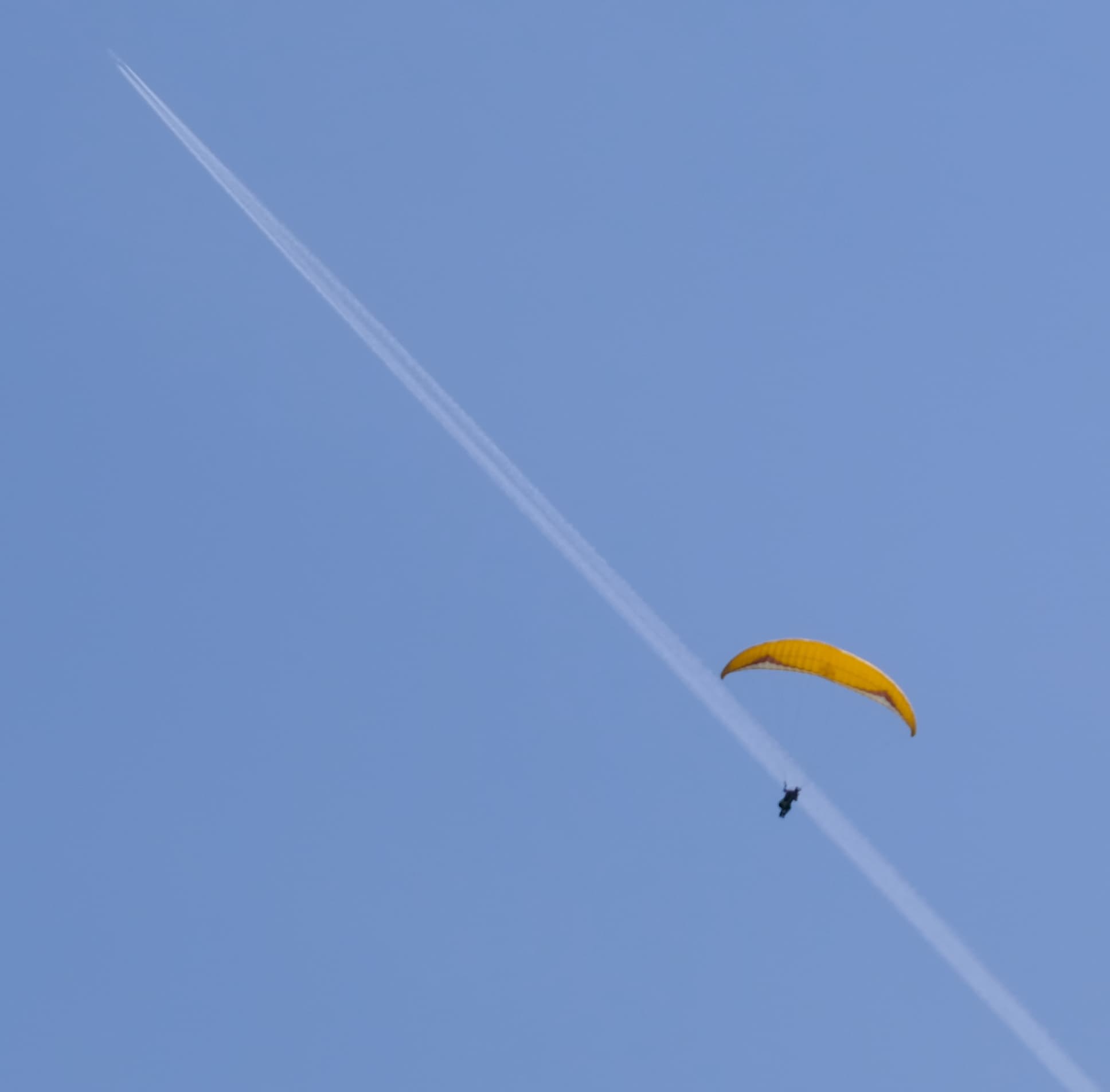 DSCF4110.jpg