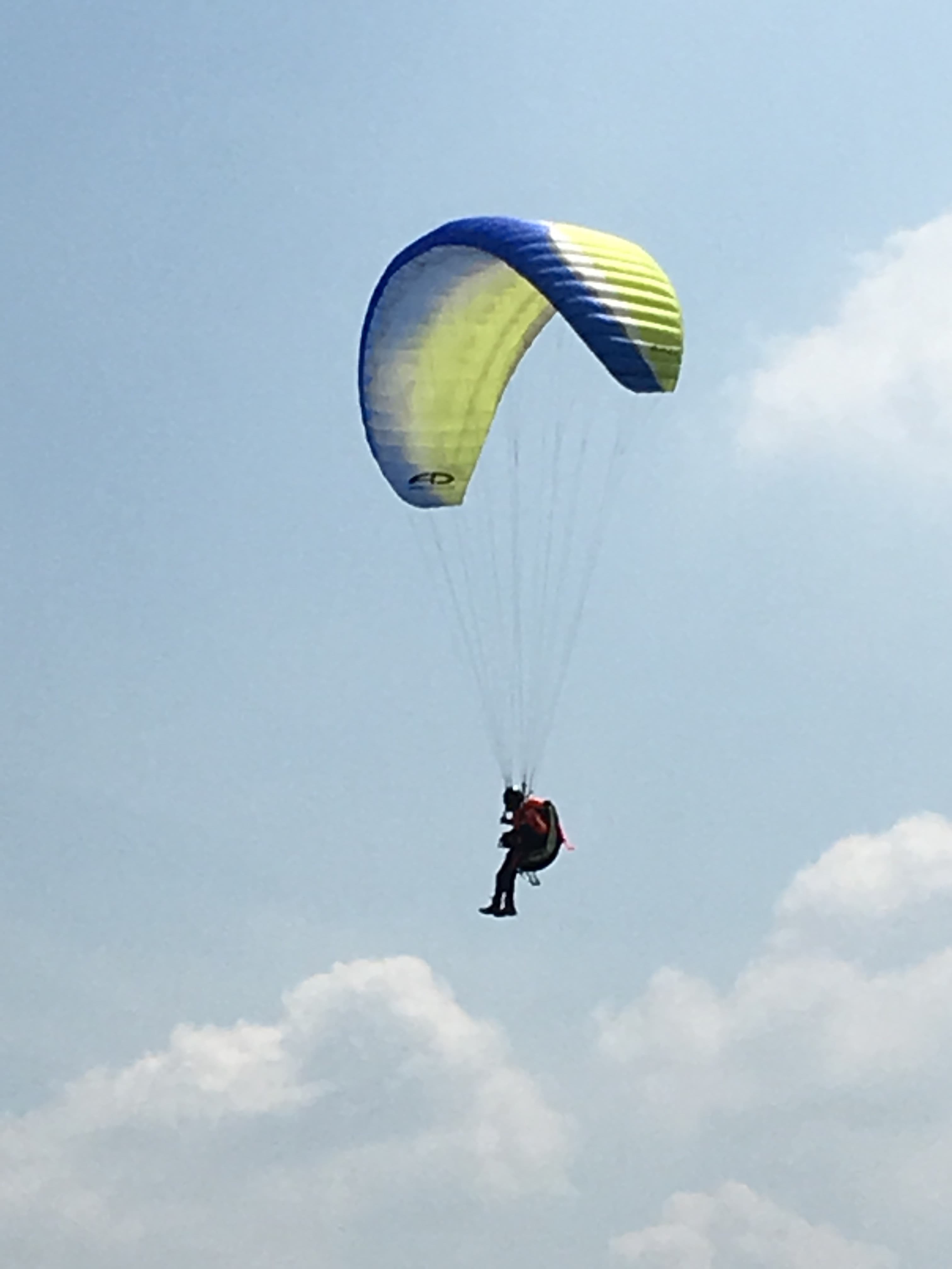 fc2blog_201907041531384db.jpg