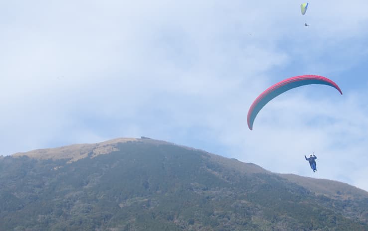 DSC_2935.jpg
