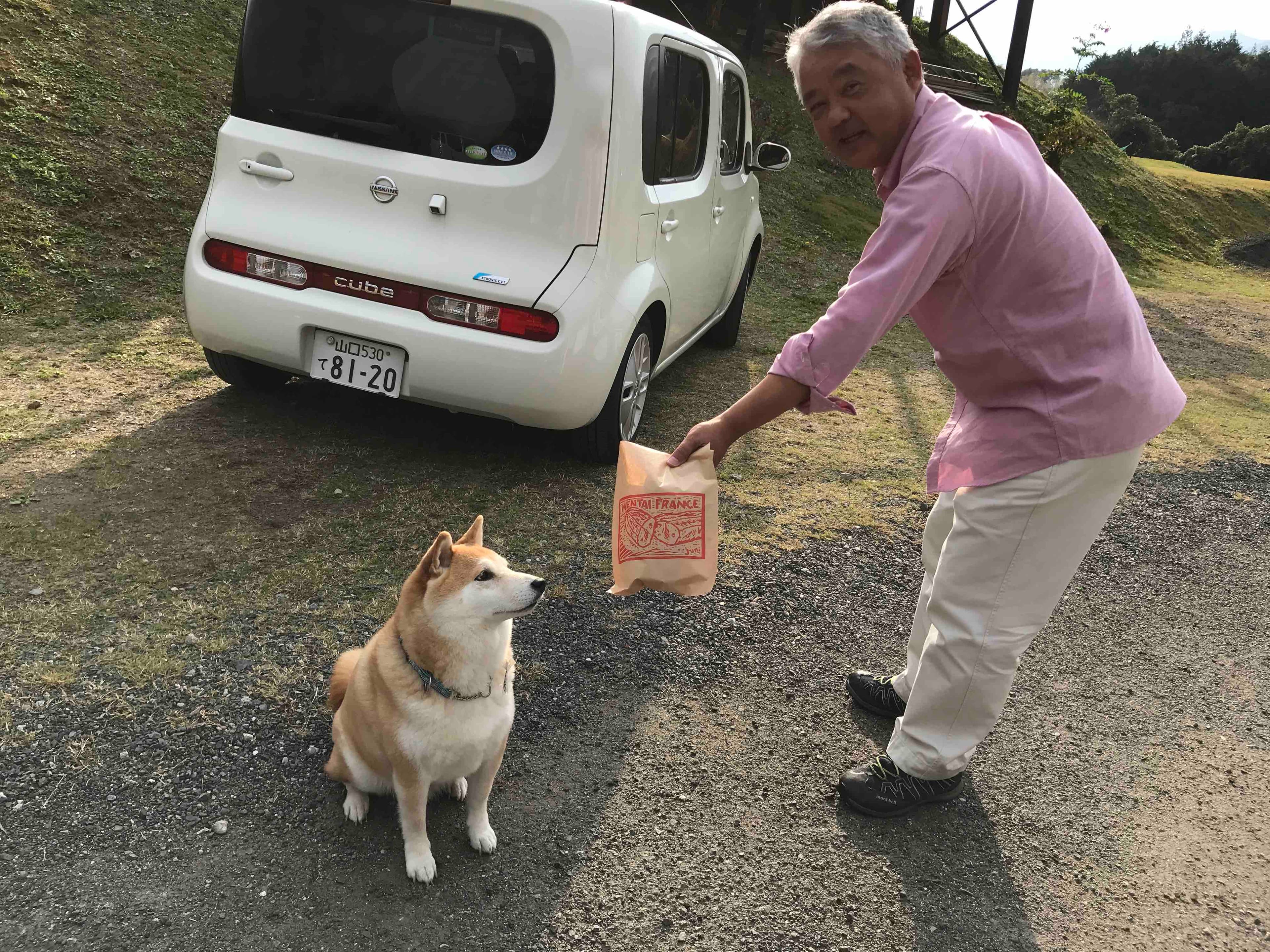 fc2blog_20191113184517c28.jpg