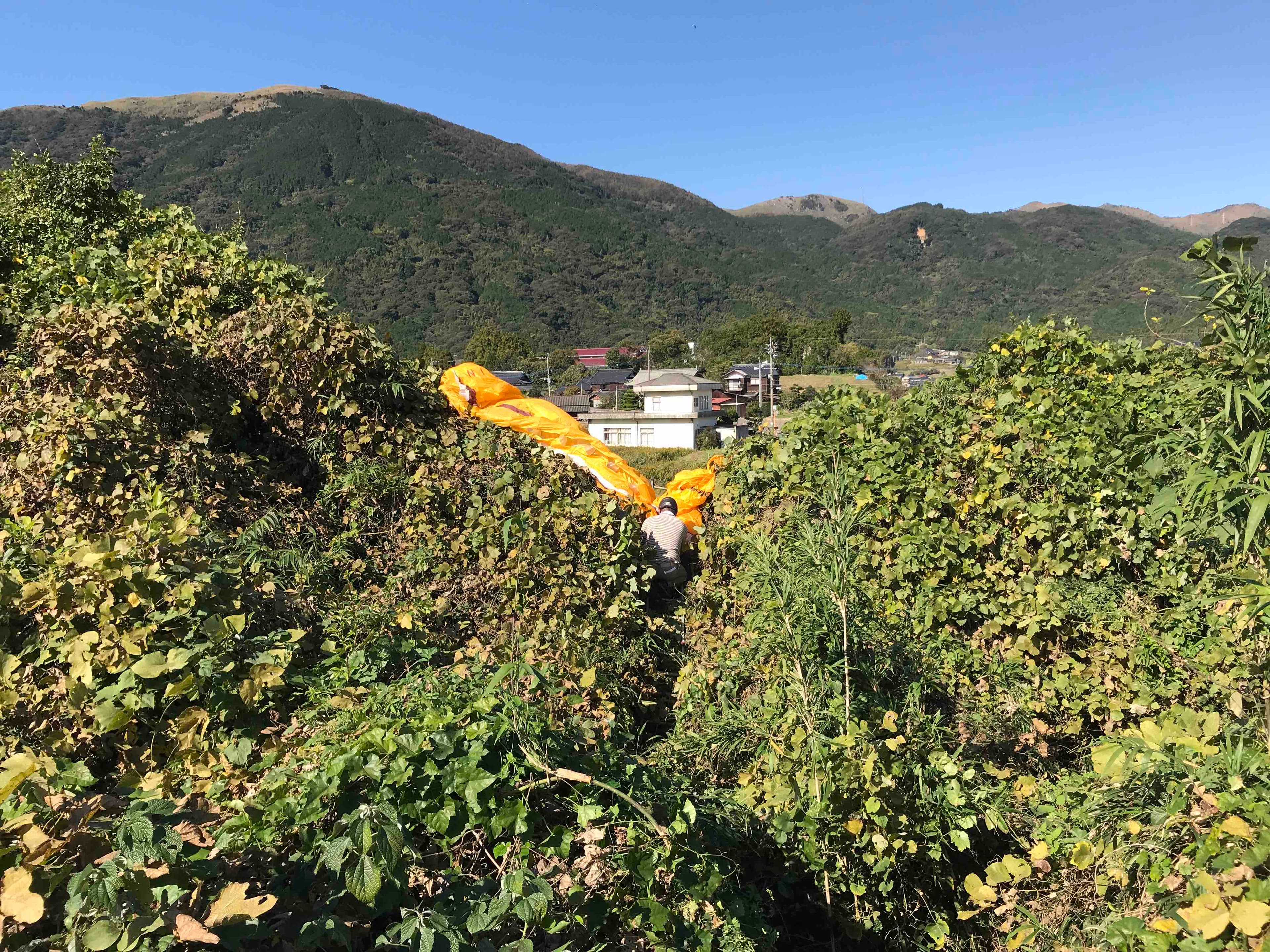 fc2blog_201911151841336f4.jpg