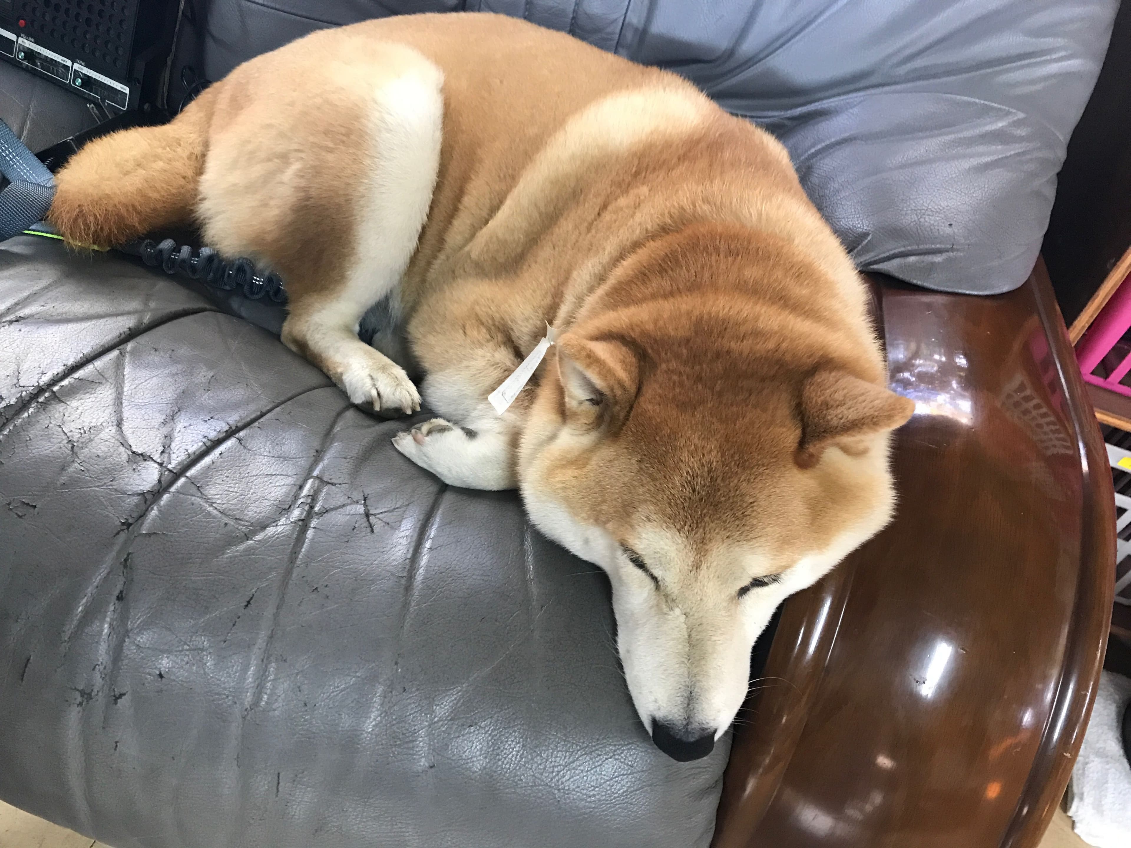 fc2blog_20191211190656fa3.jpg