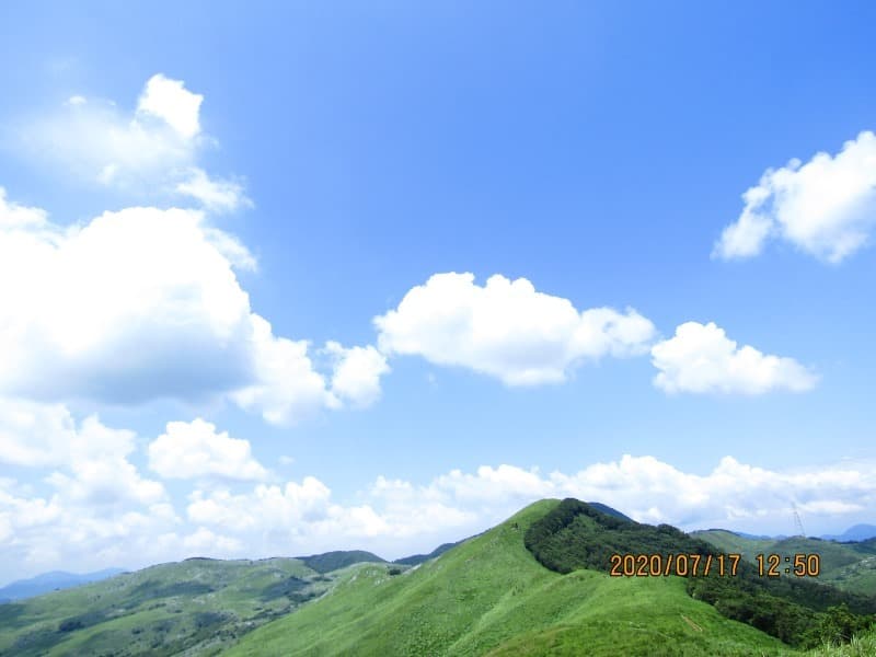 037_20200717201053ef1.jpg