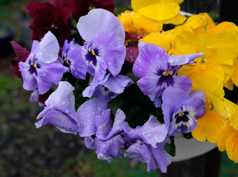 DSCF3844.jpg