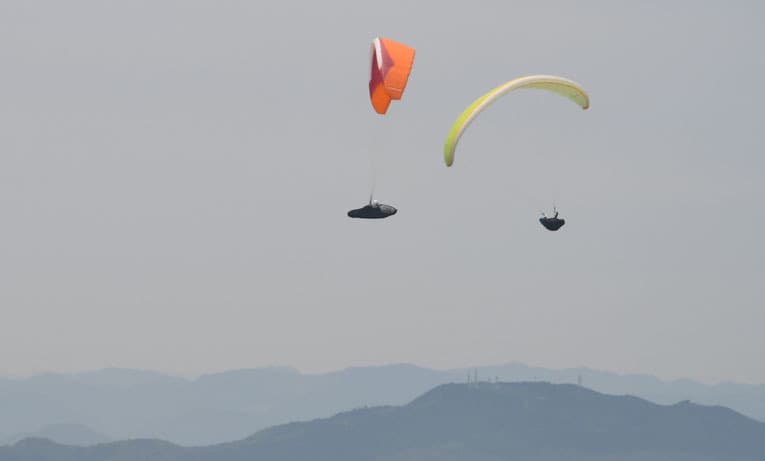DSC_0542.jpg