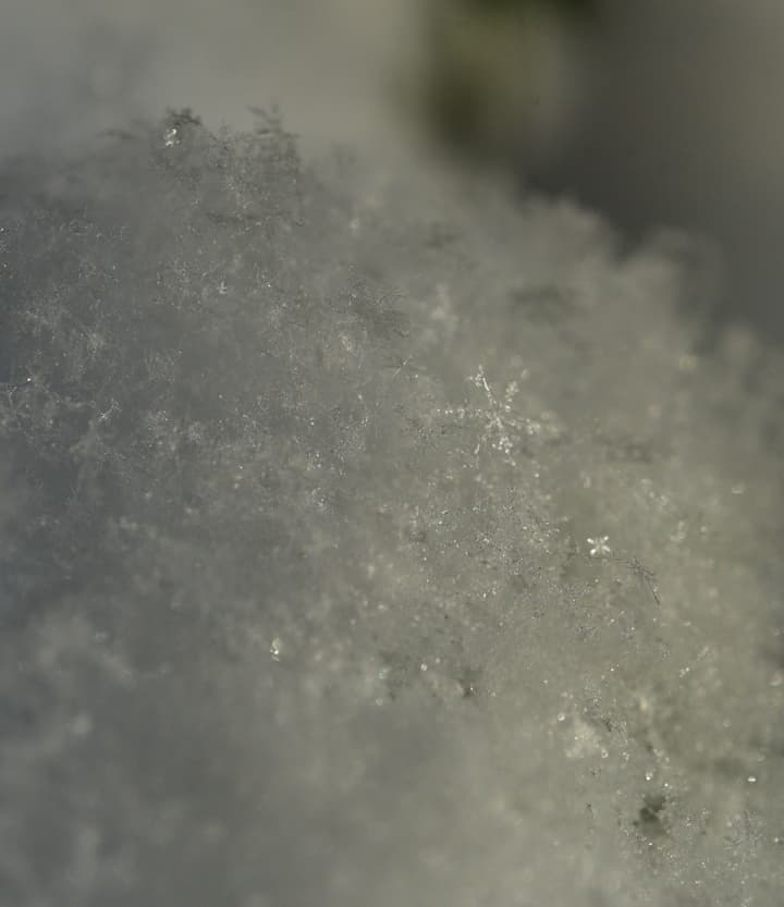 DSC_3632.jpg