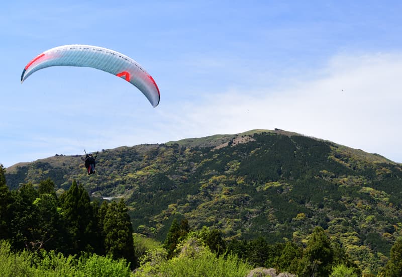 DSC_4336.jpg