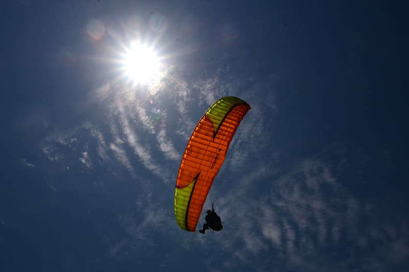 DSC_5895.jpg