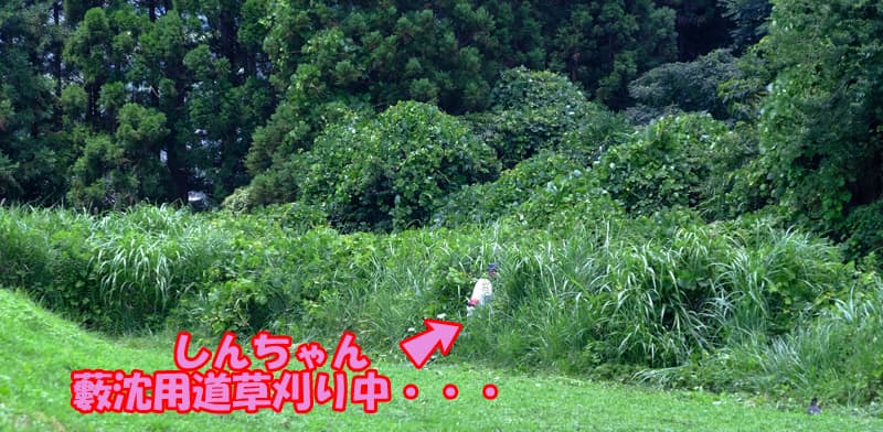 DSCF4313.jpg